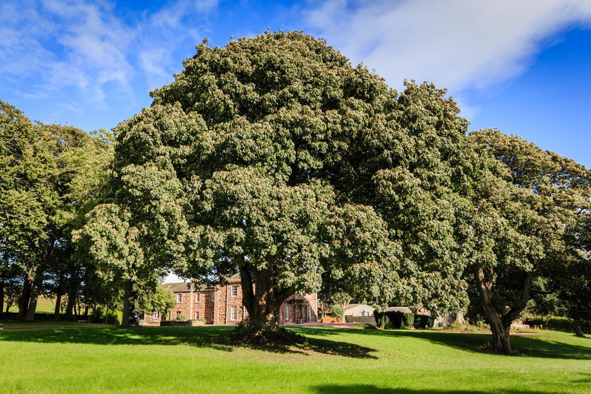 Lunan House Hotel Arbroath Bagian luar foto